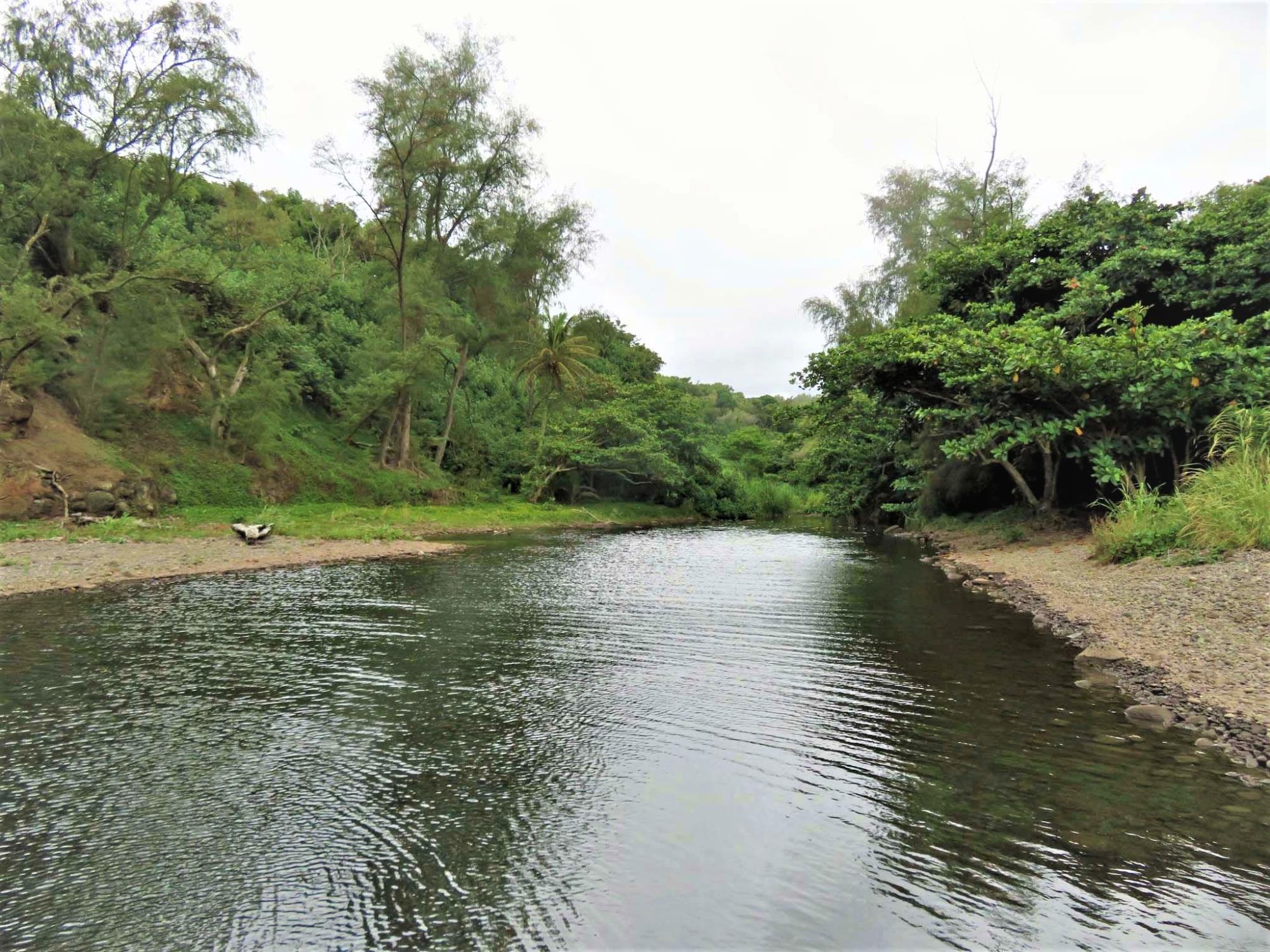 Kapanai'a Stream by ACM Consultants