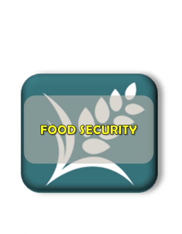 food security3