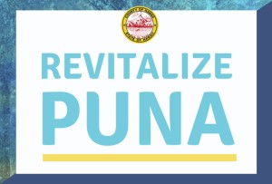 Revitalize Puna - Branding (300)