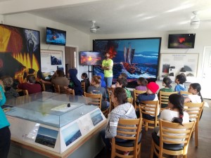 Pahoa Lava Zone Museum (300)