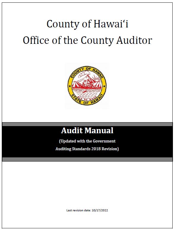 Audit Manual