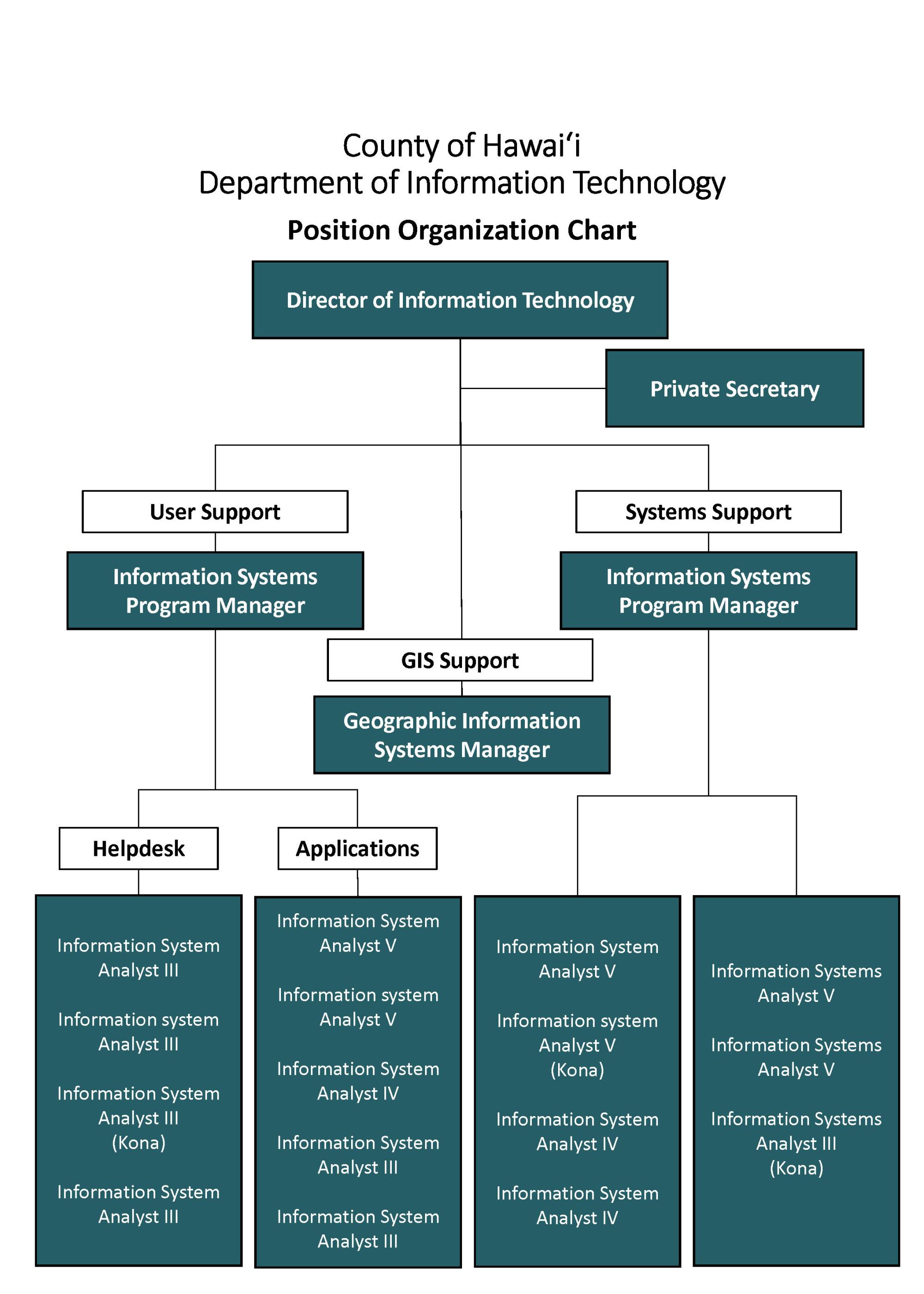 IT Organizational Chart